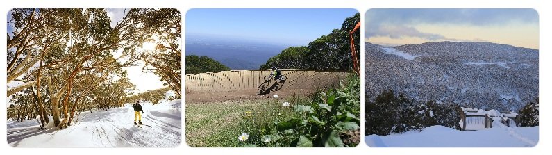 Top Things to Do in West Gippsland for Nature Lovers Head Up to Mt Baw Baw for Adventure