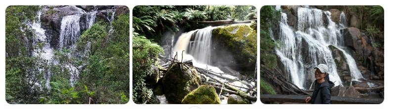 Top Things to Do in West Gippsland for Nature Lovers Take in the Beauty of Toorongo Falls