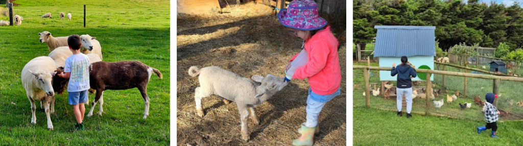 Top Things to Do in West Gippsland for Nature Lovers