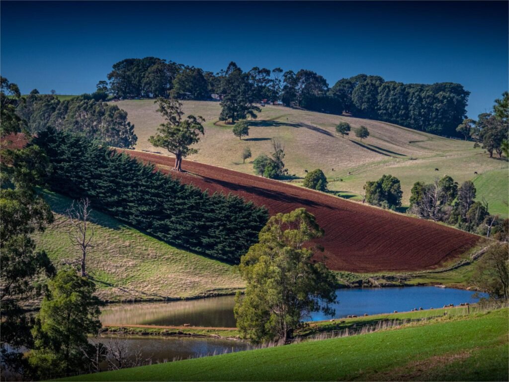 Discover West Gippsland