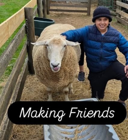 making friends